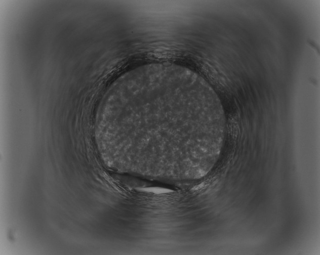 X0000097651009200803280924