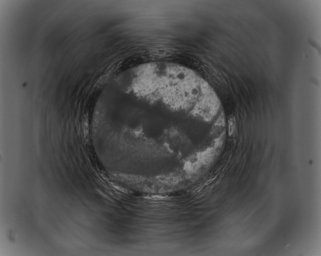 X0000097651011200803280924