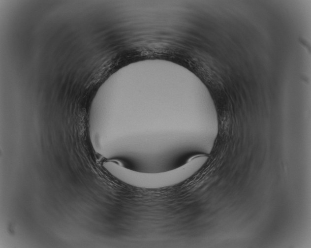 X0000097651012200803280924