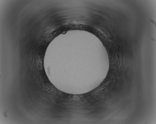 X0000097651013200803280924