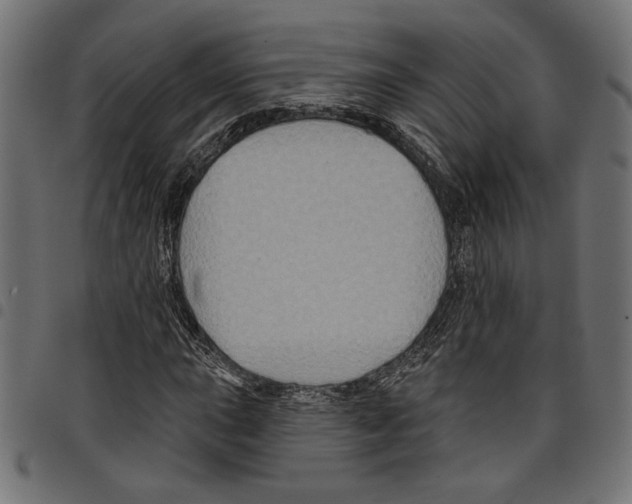 X0000097651015200803280924