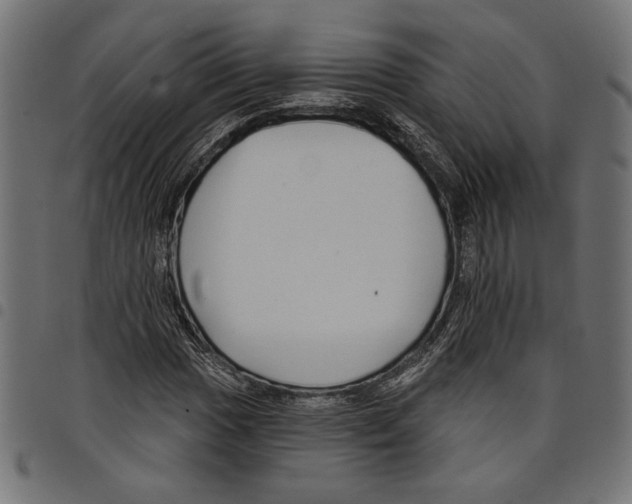 X0000097651017200803280924