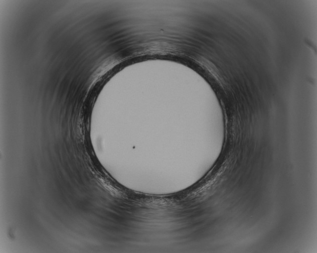 X0000097651018200803280924