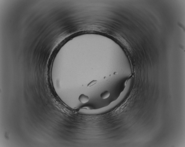 X0000097651020200803280924