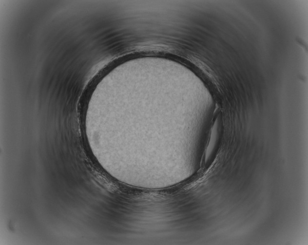 X0000097651022200803280924