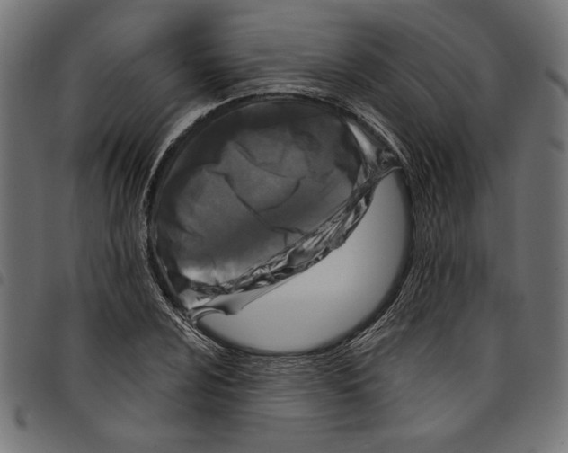 X0000097651024200803280924