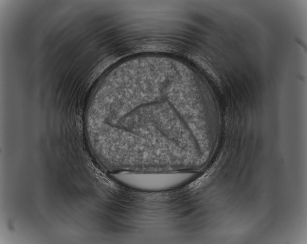 X0000097651025200803280924