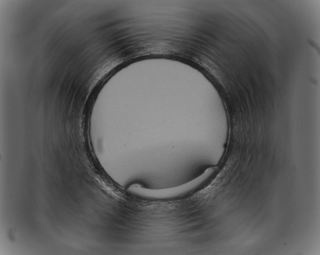 X0000097651026200803280924