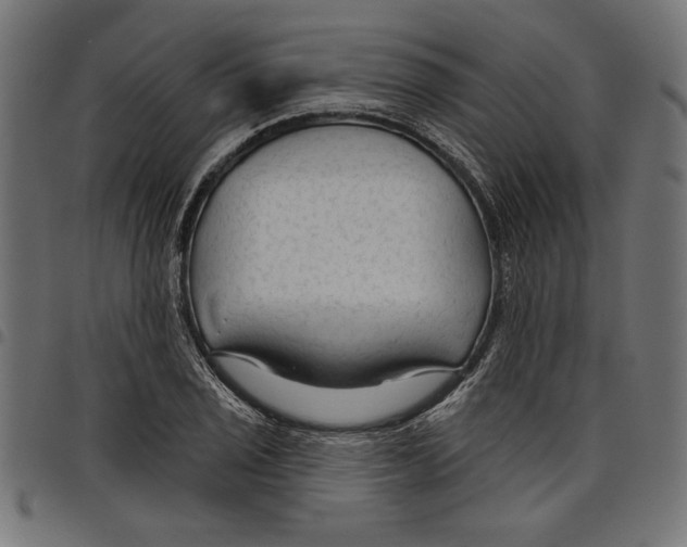 X0000097651029200803280924