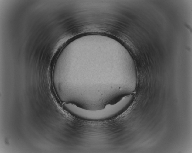 X0000097651030200803280924