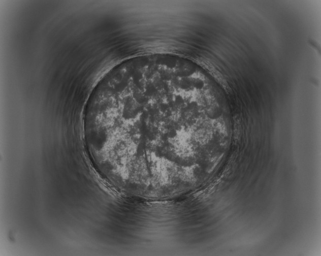 X0000097651031200803280924