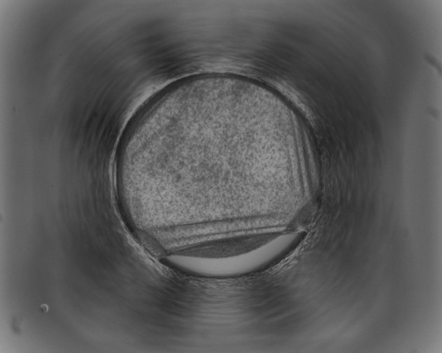 X0000097651032200803280924