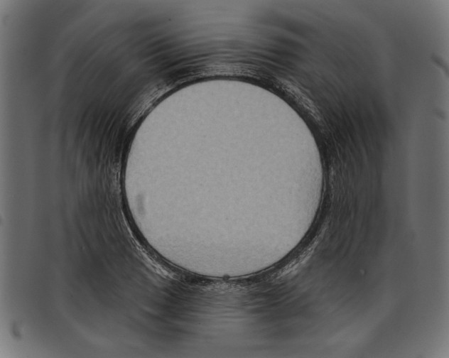 X0000097651033200803280924