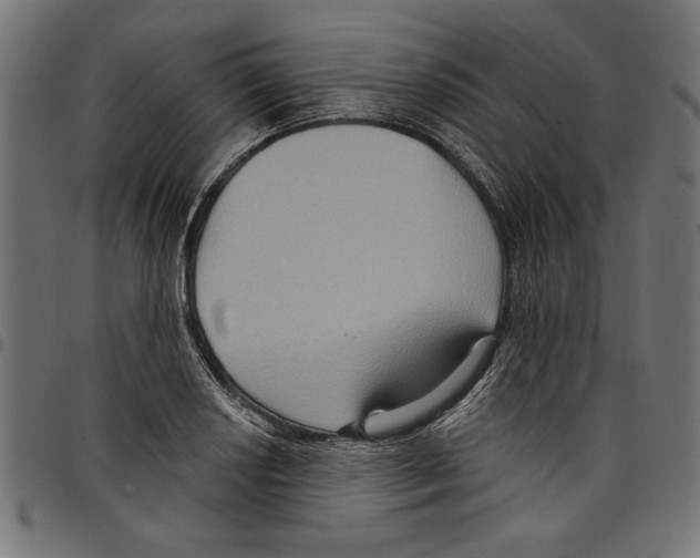 X0000097651034200803280924