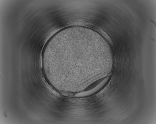 X0000097651036200803280924