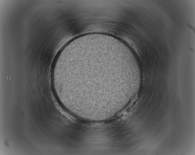 X0000097651038200803280924