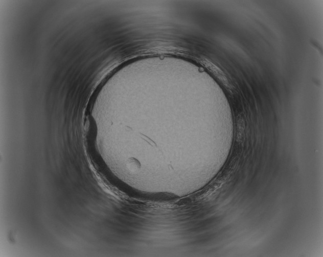 X0000097651039200803280924