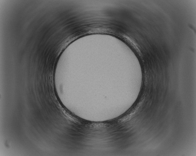 X0000097651041200803280924