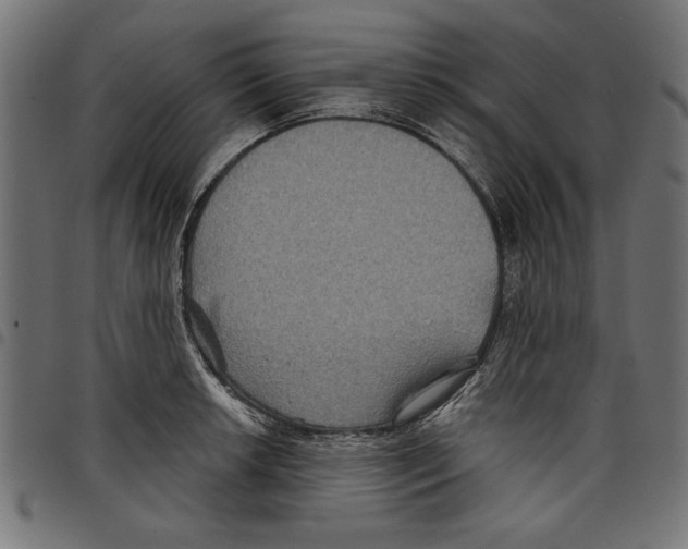 X0000097651042200803280924