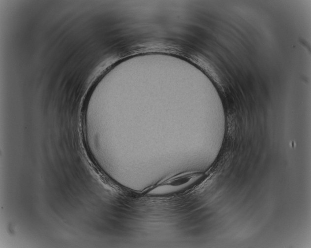 X0000097651043200803280924