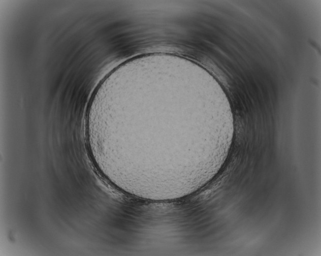 X0000097651044200803280924