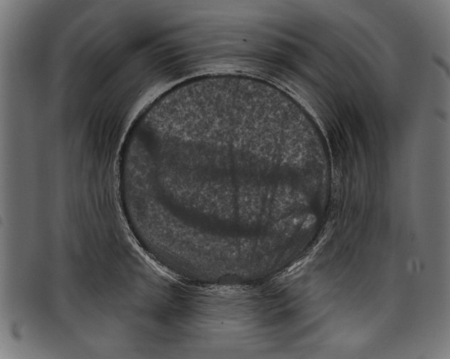 X0000097651045200803280924