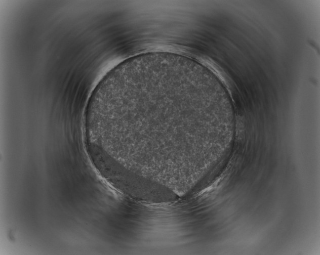 X0000097651048200803280924