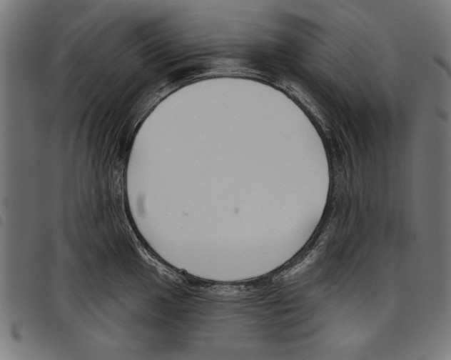 X0000097651049200803280924