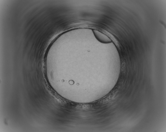 X0000097651051200803280924