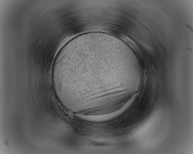 X0000097651052200803280924