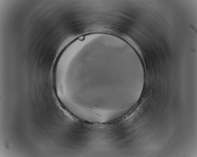 X0000097651053200803280924