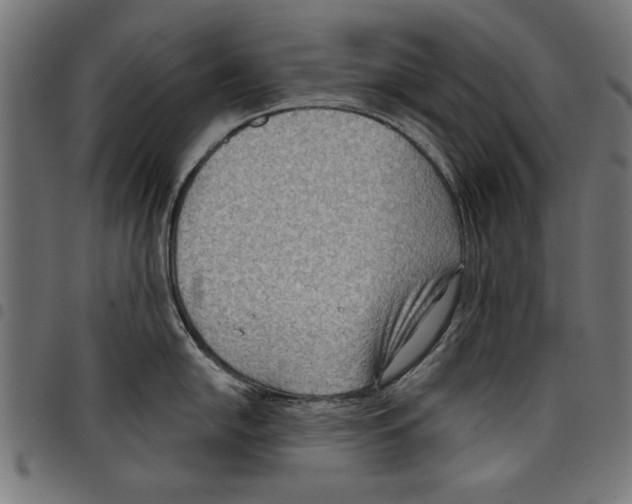 X0000097651054200803280924