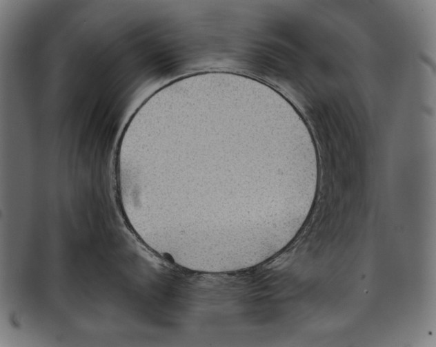 X0000097651056200803280924