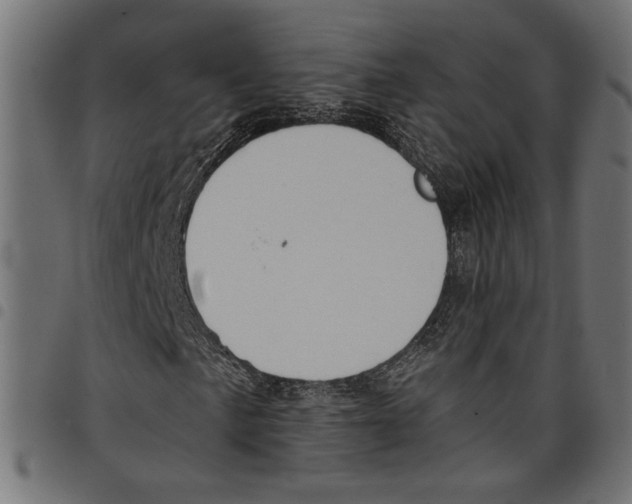 X0000097651057200803280924