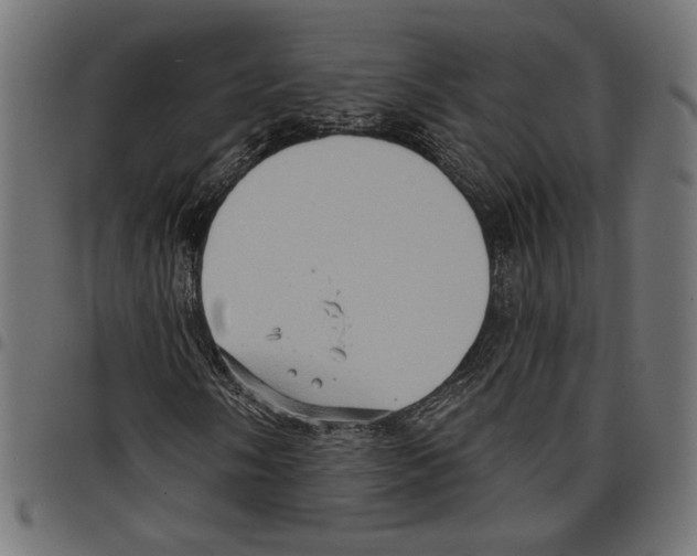 X0000097651058200803280924