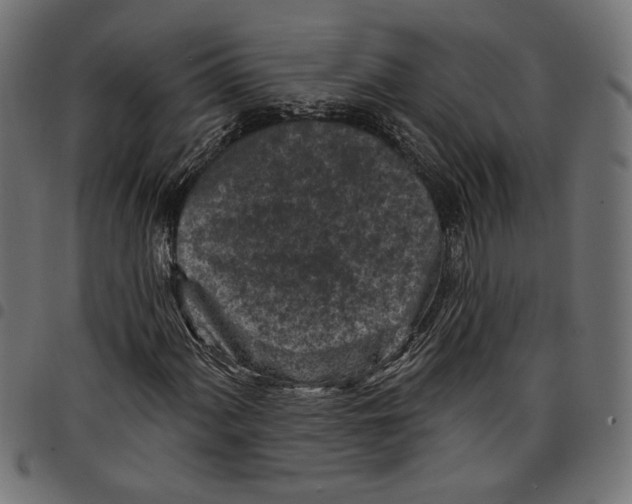 X0000097651060200803280924