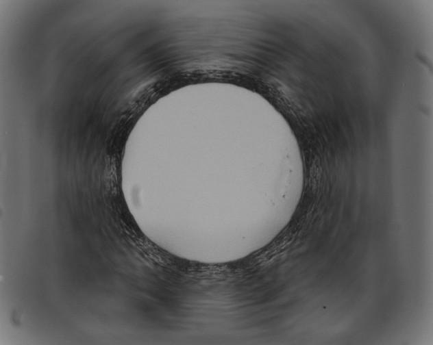 X0000097651062200803280924