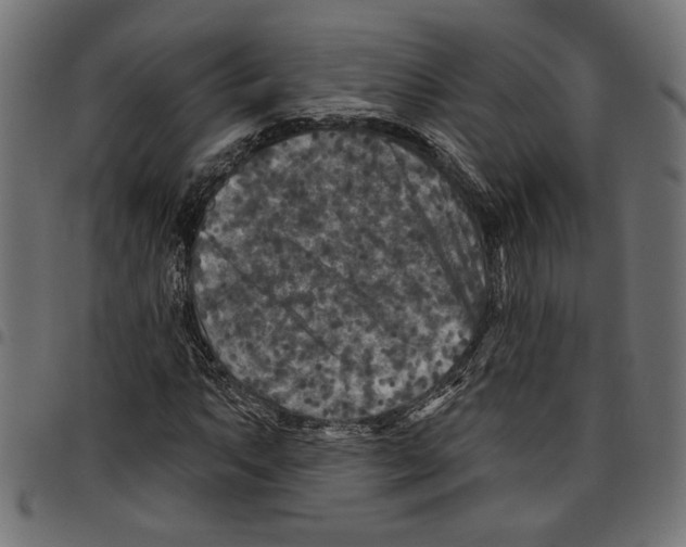 X0000097651063200803280924