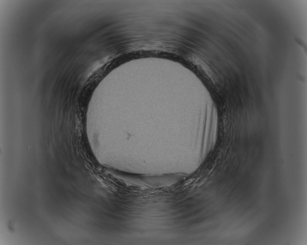 X0000097651064200803280924