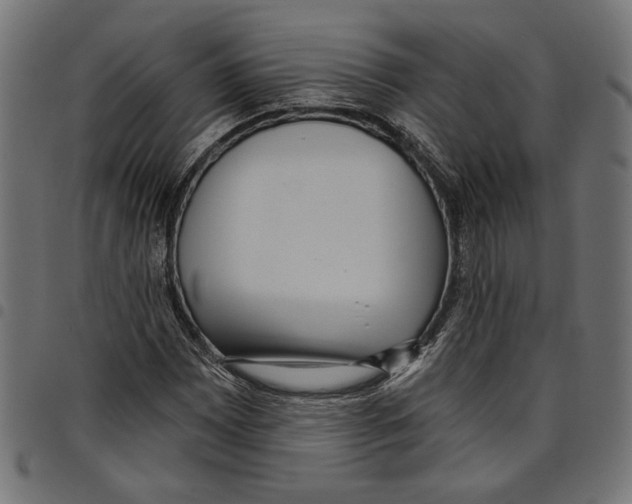 X0000097651065200803280924