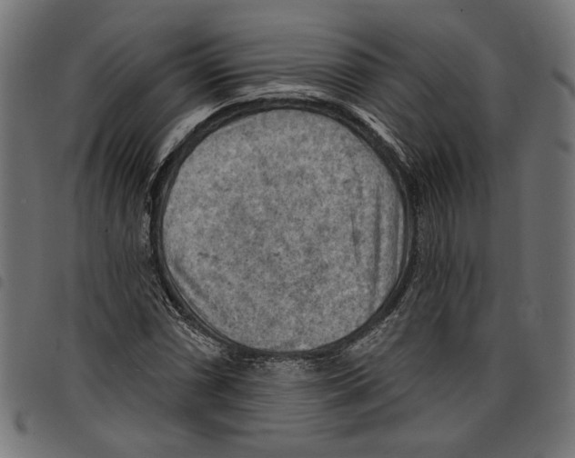 X0000097651066200803280924