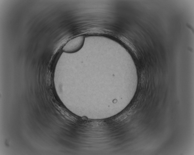 X0000097651067200803280924