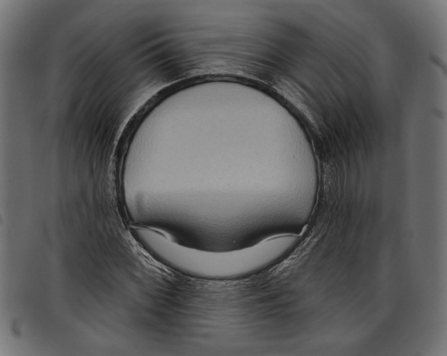 X0000097651068200803280924