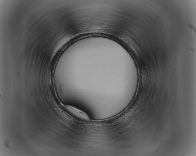 X0000097651069200803280924