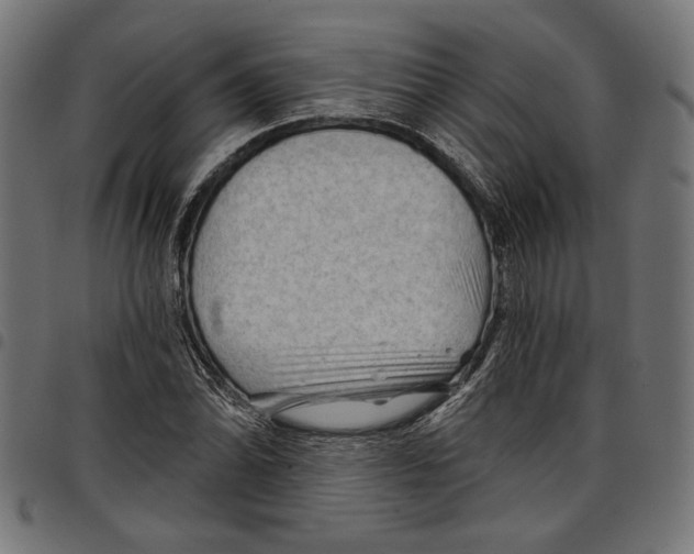 X0000097651070200803280924