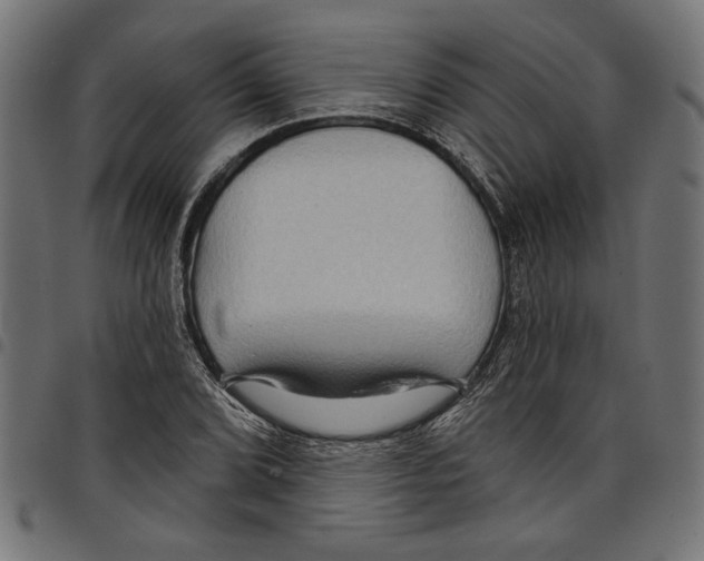 X0000097651072200803280924