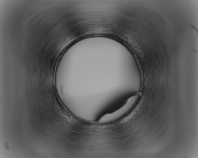 X0000097651073200803280924