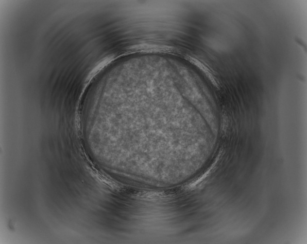 X0000097651074200803280924