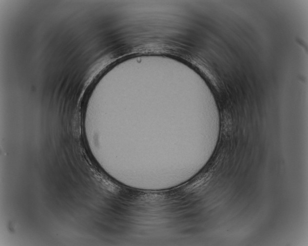 X0000097651075200803280924