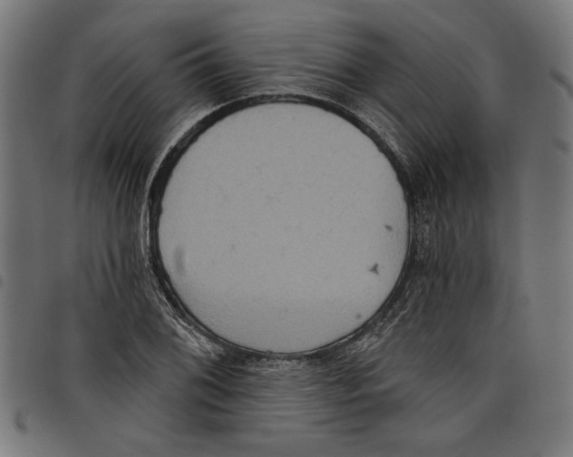 X0000097651076200803280924